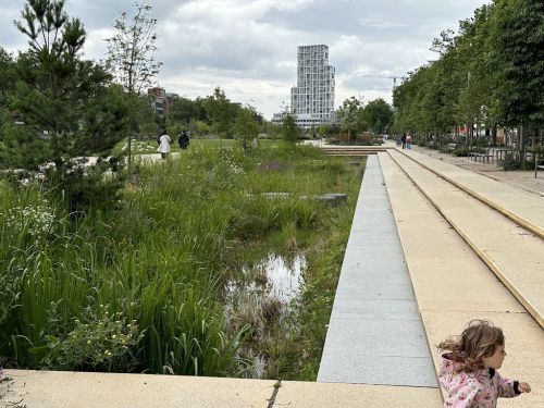 Zuidpark